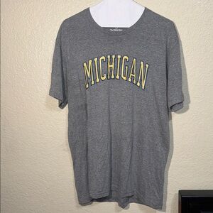 Michigan State Outline Graphic T-Shirt Gray Short Sleeve Tee Size- Large